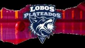 Lobos Plateados