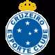 Cruzeiro Esporte Clube