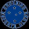 Cruzeiro Esporte Clube