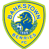 Inter Lions