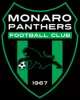 Monaro Panthers