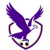FC Bulleen Lions (w)