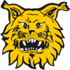 Ilves/2 (w)